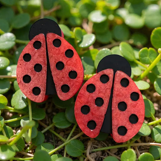 Ladybug Vents and Magnet